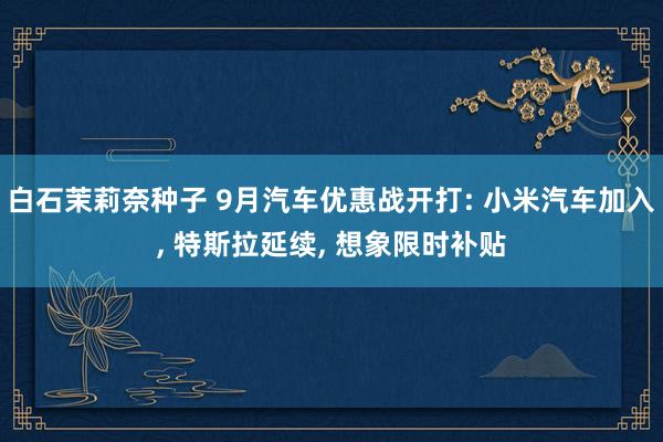 白石茉莉奈种子 9月汽车优惠战开打: 小米汽车加入, 特斯拉延续, 想象限时补贴