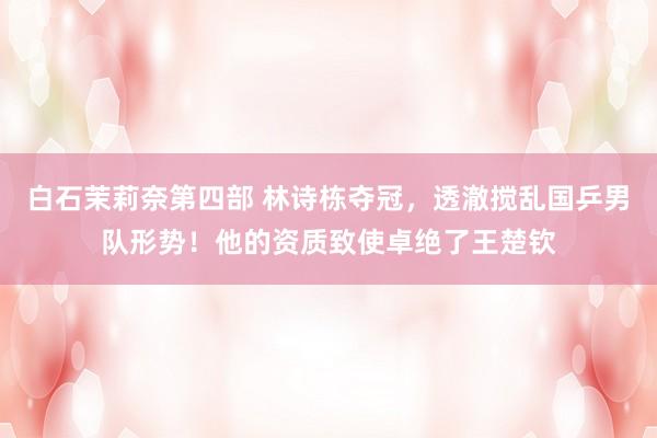 白石茉莉奈第四部 林诗栋夺冠，透澈搅乱国乒男队形势！他的资质致使卓绝了王楚钦