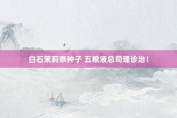 白石茉莉奈种子 五粮液总司理诊治！