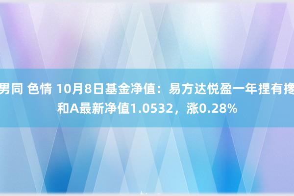 男同 色情 10月8日基金净值：易方达悦盈一年捏有搀和A最新净值1.0532，涨0.28%