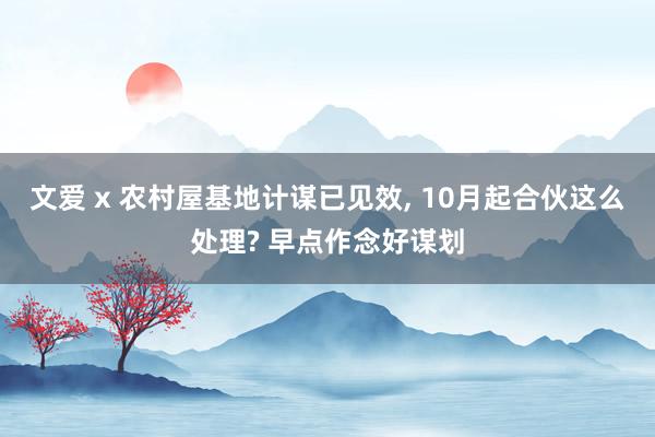 文爱 x 农村屋基地计谋已见效， 10月起合伙这么处理? 早点作念好谋划