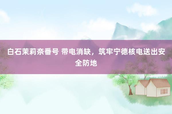 白石茉莉奈番号 带电消缺，筑牢宁德核电送出安全防地