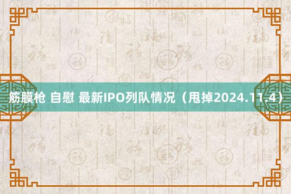 筋膜枪 自慰 最新IPO列队情况（甩掉2024.11.4）