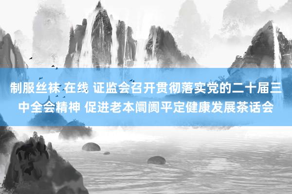制服丝袜 在线 证监会召开贯彻落实党的二十届三中全会精神 促进老本阛阓平定健康发展茶话会