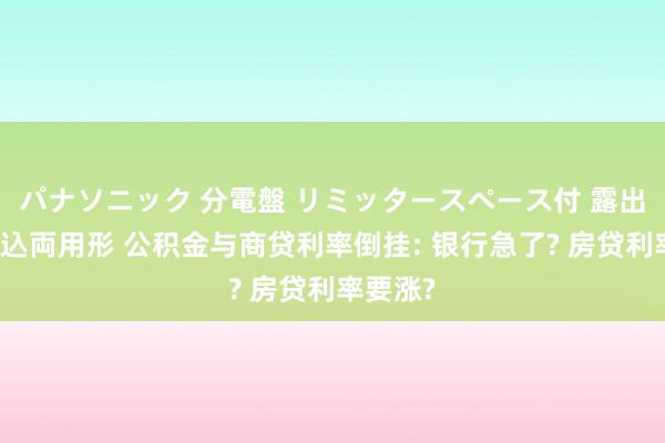 パナソニック 分電盤 リミッタースペース付 露出・半埋込両用形 公积金与商贷利率倒挂: 银行急了? 房贷利率要涨?