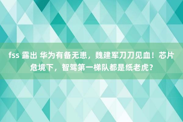 fss 露出 华为有备无患，魏建军刀刀见血！芯片危境下，智驾第一梯队都是纸老虎？