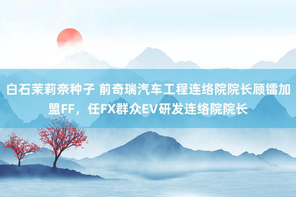 白石茉莉奈种子 前奇瑞汽车工程连络院院长顾镭加盟FF，任FX群众EV研发连络院院长