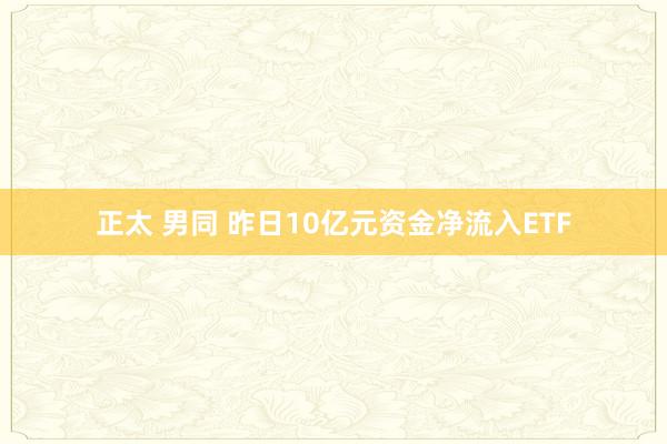 正太 男同 昨日10亿元资金净流入ETF