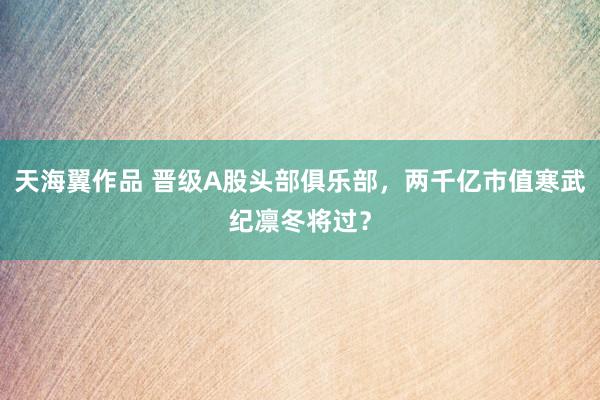 天海翼作品 晋级A股头部俱乐部，两千亿市值寒武纪凛冬将过？