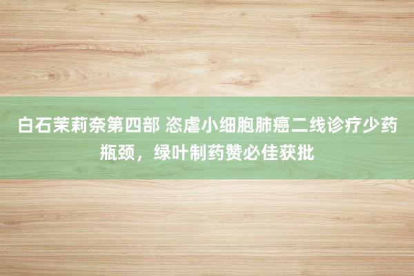白石茉莉奈第四部 恣虐小细胞肺癌二线诊疗少药瓶颈，绿叶制药赞必佳获批