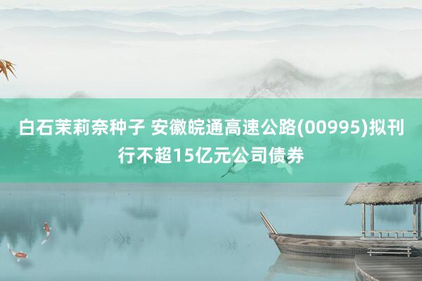 白石茉莉奈种子 安徽皖通高速公路(00995)拟刊行不超15亿元公司债券