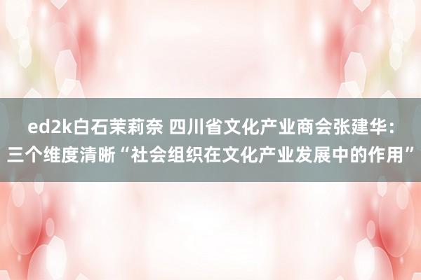 ed2k白石茉莉奈 四川省文化产业商会张建华：三个维度清晰“社会组织在文化产业发展中的作用”