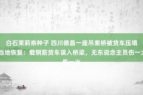 白石茉莉奈种子 四川德昌一座吊索桥被货车压塌 当地恢复：载钢筋货车误入桥梁，无东说念主员伤一火