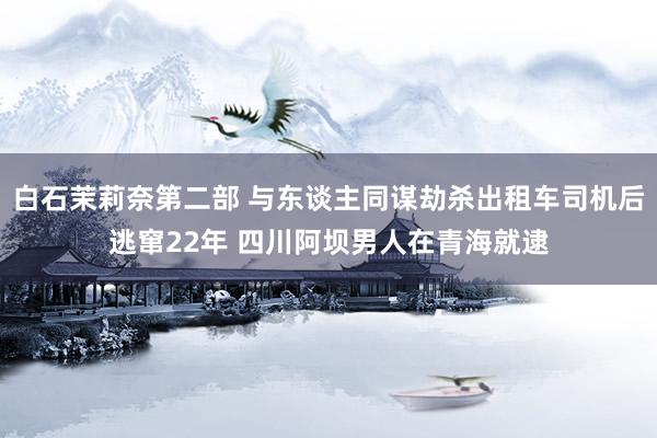 白石茉莉奈第二部 与东谈主同谋劫杀出租车司机后逃窜22年 四川阿坝男人在青海就逮