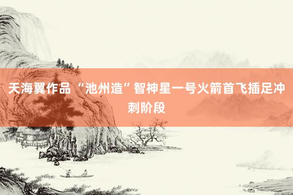 天海翼作品 “池州造”智神星一号火箭首飞插足冲刺阶段