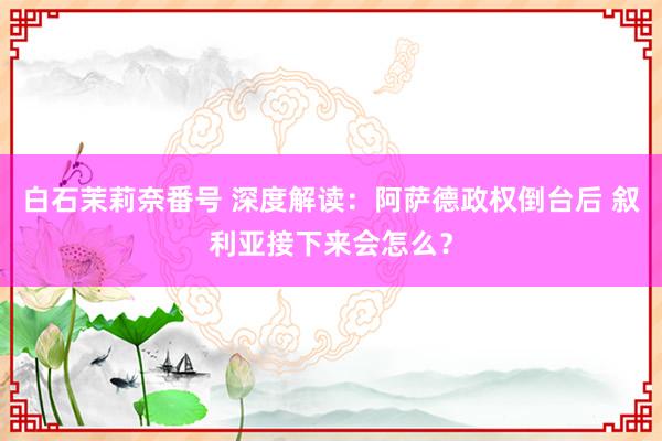 白石茉莉奈番号 深度解读：阿萨德政权倒台后 叙利亚接下来会怎么？