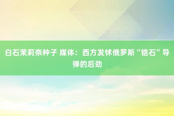 白石茉莉奈种子 媒体：西方发怵俄罗斯“锆石”导弹的后劲