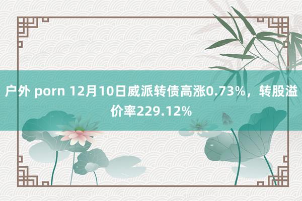 户外 porn 12月10日威派转债高涨0.73%，转股溢价率229.12%