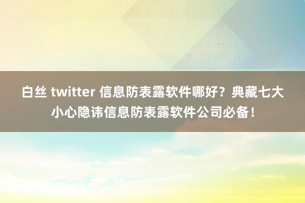 白丝 twitter 信息防表露软件哪好？典藏七大小心隐讳信息防表露软件公司必备！