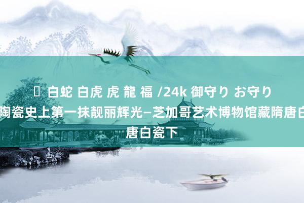 ✨白蛇 白虎 虎 龍 福 /24k 御守り お守り 中国陶瓷史上第一抹靓丽辉光—芝加哥艺术博物馆藏隋唐白瓷下