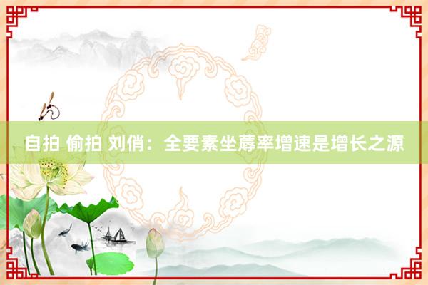 自拍 偷拍 刘俏：全要素坐蓐率增速是增长之源