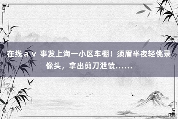 在线ａｖ 事发上海一小区车棚！须眉半夜轻佻录像头，拿出剪刀泄愤……
