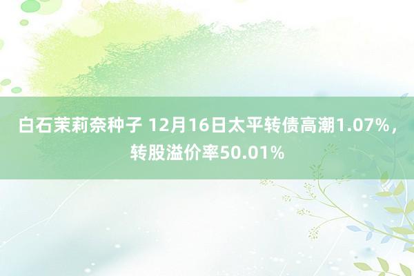 白石茉莉奈种子 12月16日太平转债高潮1.07%，转股溢价率50.01%