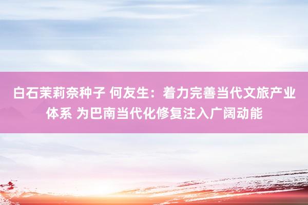 白石茉莉奈种子 何友生：着力完善当代文旅产业体系 为巴南当代化修复注入广阔动能