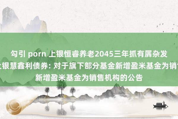 勾引 porn 上银恒睿养老2045三年抓有羼杂发起式(FOF),上银慧鑫利债券: 对于旗下部分基金新增盈米基金为销售机构的公告