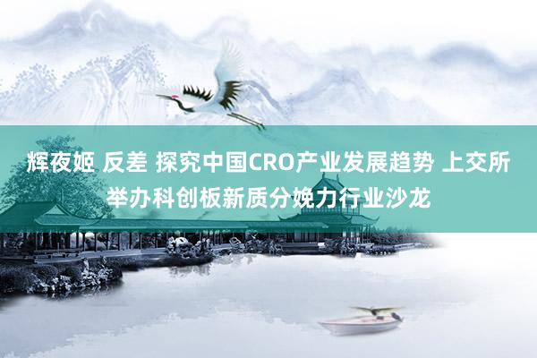 辉夜姬 反差 探究中国CRO产业发展趋势 上交所举办科创板新质分娩力行业沙龙