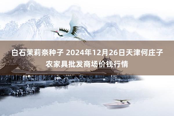 白石茉莉奈种子 2024年12月26日天津何庄子农家具批发商场价钱行情
