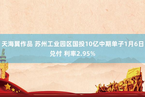 天海翼作品 苏州工业园区国投10亿中期单子1月6日兑付 利率2.95%