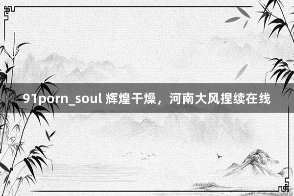 91porn_soul 辉煌干燥，河南大风捏续在线