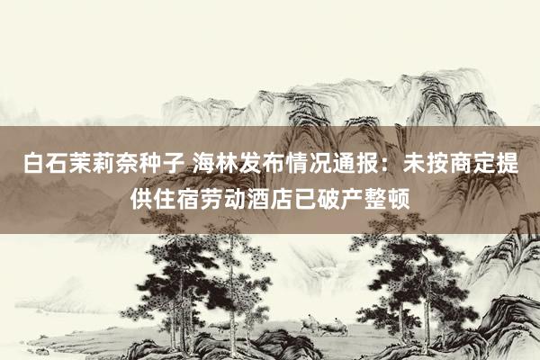 白石茉莉奈种子 海林发布情况通报：未按商定提供住宿劳动酒店已破产整顿