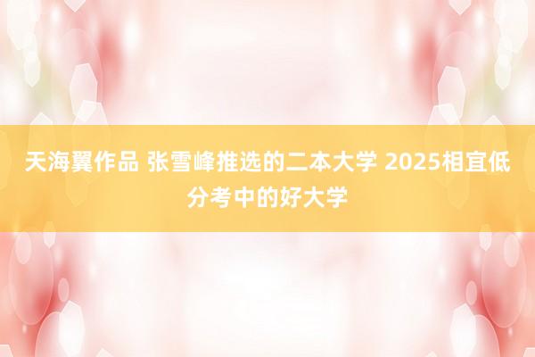 天海翼作品 张雪峰推选的二本大学 2025相宜低分考中的好大学