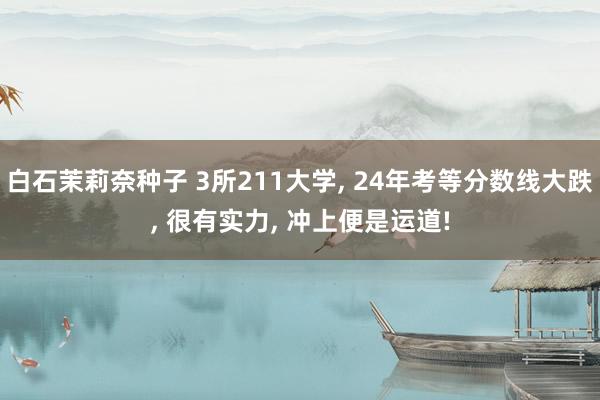 白石茉莉奈种子 3所211大学, 24年考等分数线大跌, 很有实力, 冲上便是运道!