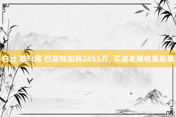 白丝 双马尾 巴菲特加码2855万, 买进老牌收集股票