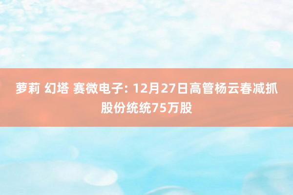 萝莉 幻塔 赛微电子: 12月27日高管杨云春减抓股份统统75万股