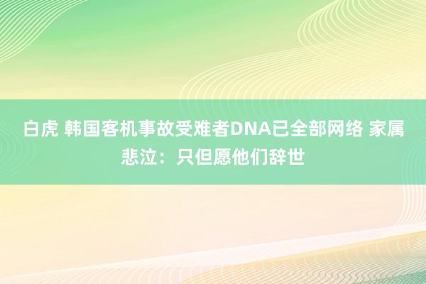 白虎 韩国客机事故受难者DNA已全部网络 家属悲泣：只但愿他们辞世