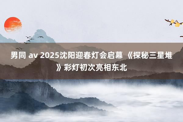 男同 av 2025沈阳迎春灯会启幕 《探秘三星堆》彩灯初次亮相东北