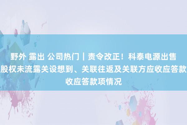 野外 露出 公司热门｜责令改正！科泰电源出售子公司股权未流露关设想到、关联往返及关联方应收应答款项情况