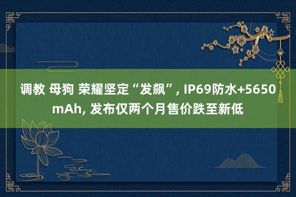 调教 母狗 荣耀坚定“发飙”, IP69防水+5650mAh, 发布仅两个月售价跌至新低