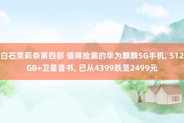 白石茉莉奈第四部 值得捡漏的华为麒麟5G手机, 512GB+卫星音书, 已从4399跌至2499元