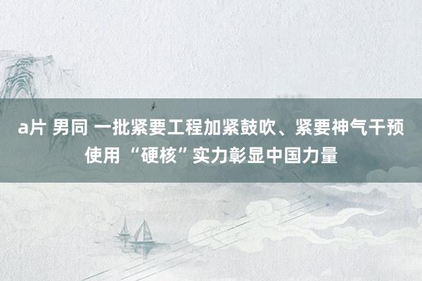 a片 男同 一批紧要工程加紧鼓吹、紧要神气干预使用 “硬核”实力彰显中国力量