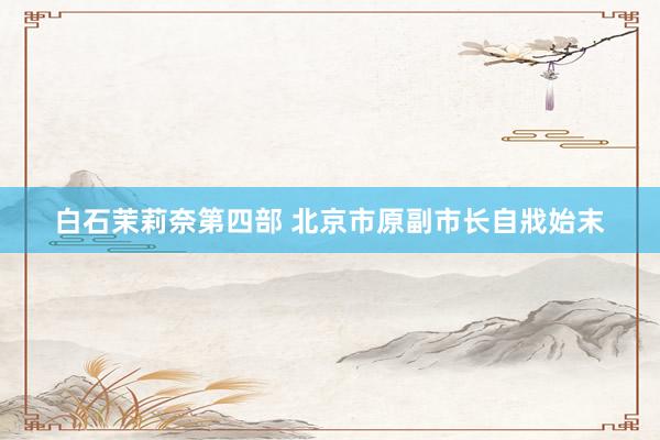 白石茉莉奈第四部 北京市原副市长自戕始末