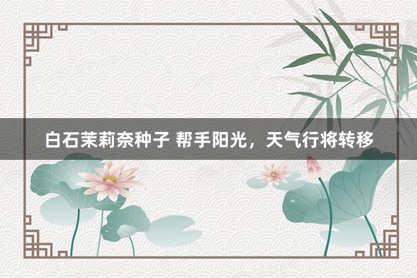 白石茉莉奈种子 帮手阳光，天气行将转移