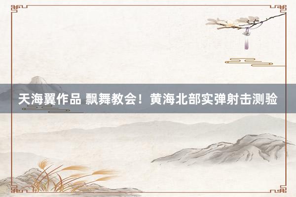 天海翼作品 飘舞教会！黄海北部实弹射击测验