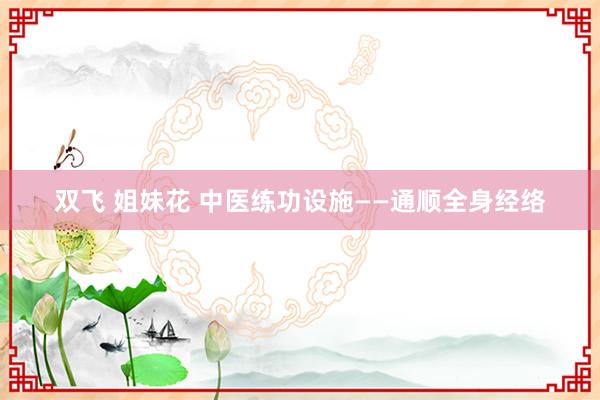 双飞 姐妹花 中医练功设施——通顺全身经络