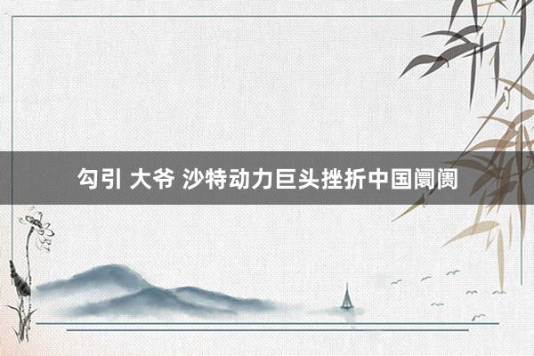 勾引 大爷 沙特动力巨头挫折中国阛阓