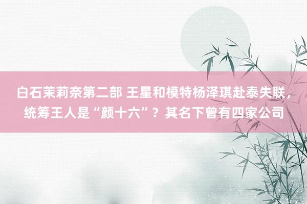 白石茉莉奈第二部 王星和模特杨泽琪赴泰失联，统筹王人是“颜十六”？其名下曾有四家公司